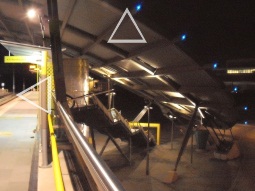 Auto-stitched view of the canopy